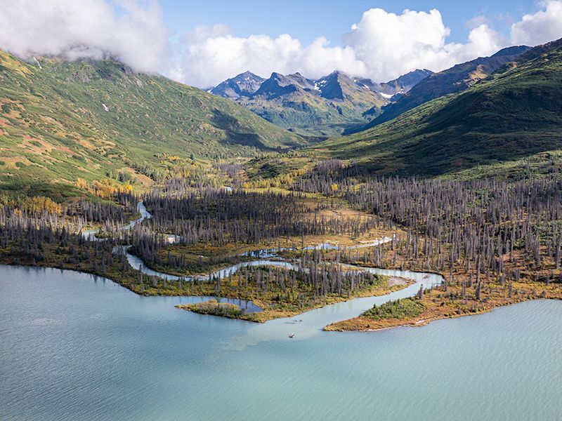 Denali Preserve Landscape