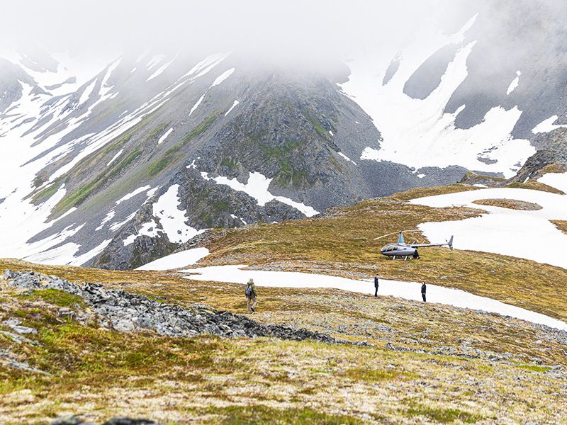 Alpine Hiking Denali