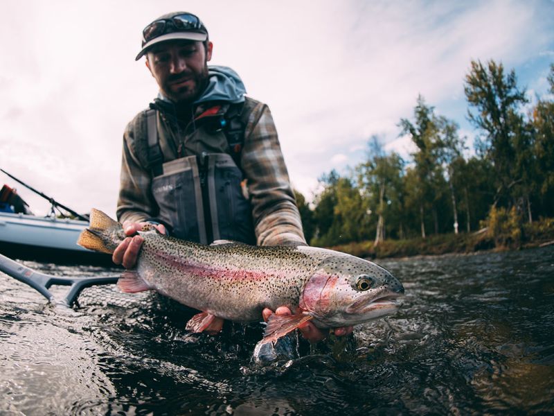 Rainbow Trout Fishing in Denali 