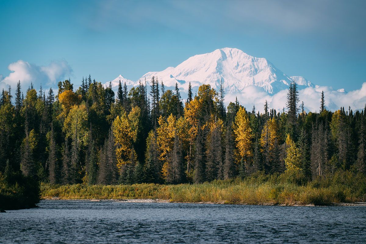 Denali Backcountry 