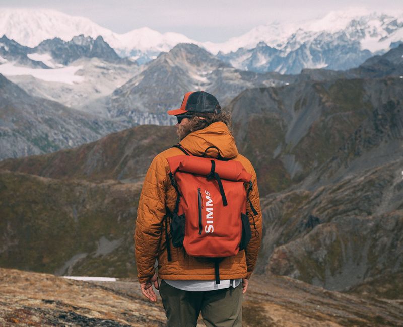 Hiking In Denali